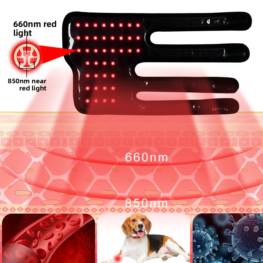 Dog Leg Red Light Therapy Device