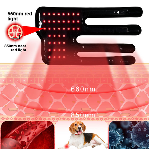 Dog Leg Red Light Therapy Device