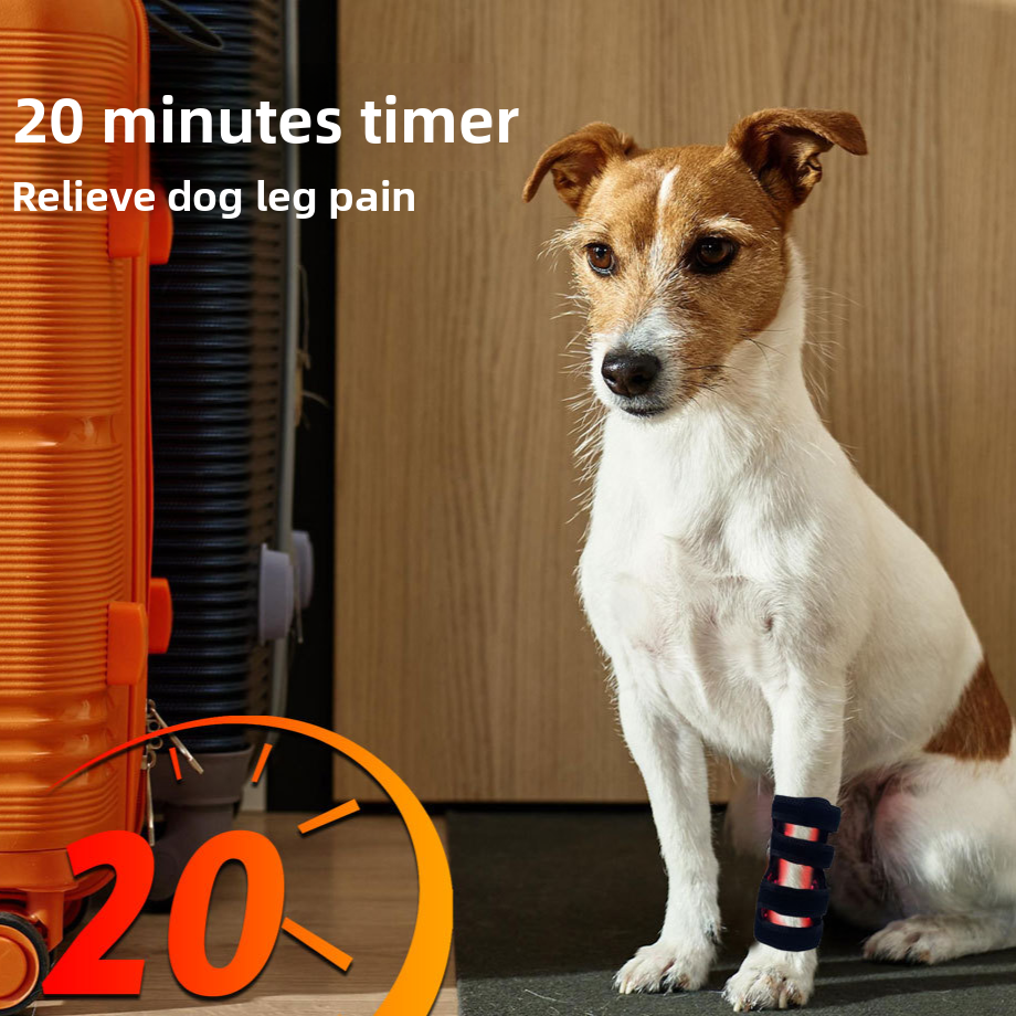 Dog Leg Red Light Therapy Device